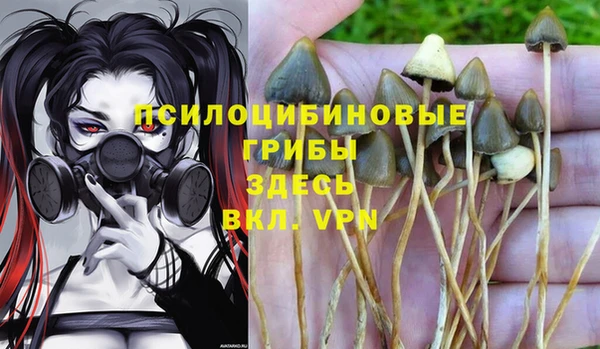марки nbome Арсеньев