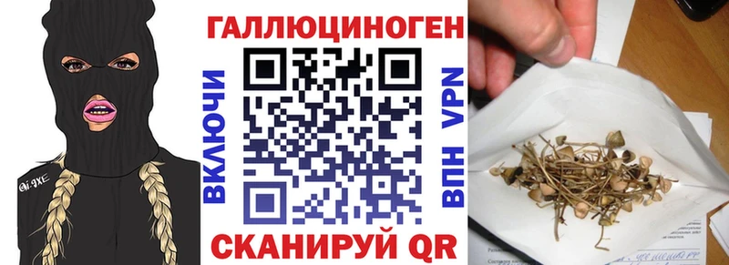 Псилоцибиновые грибы Cubensis  hydra ССЫЛКА  Улан-Удэ 