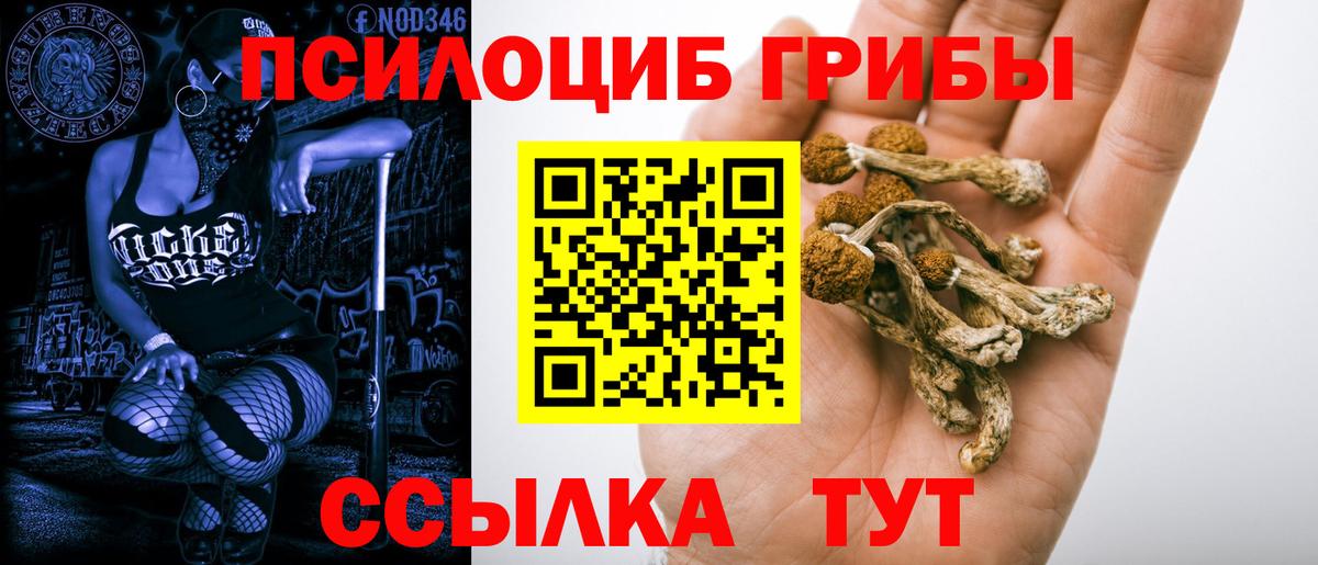 Псилоцибиновые грибы Psilocybine cubensis  Вход с VPN  Улан-Удэ 